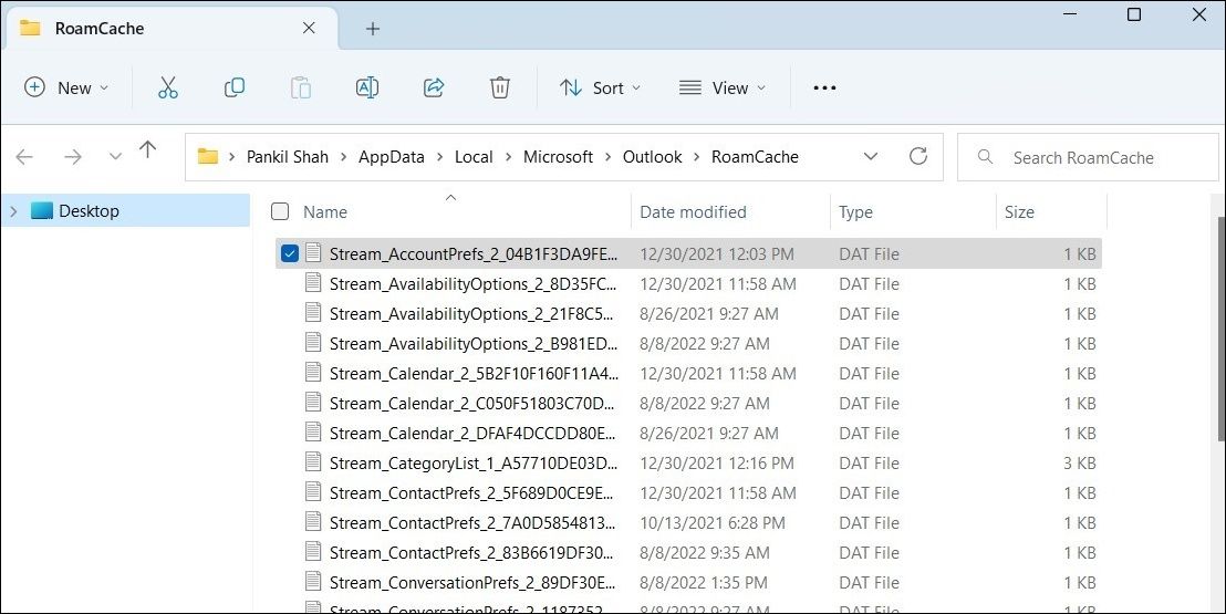 RoamCache Folder in File Explorer Window