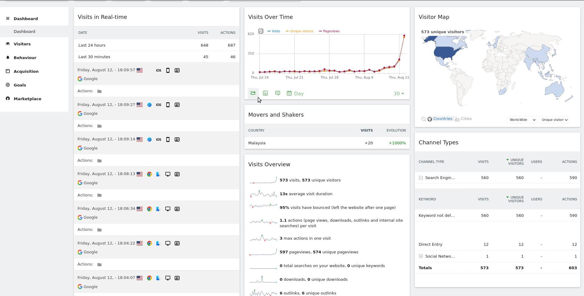 Matomo dashboard showing graphs, maps, and stats