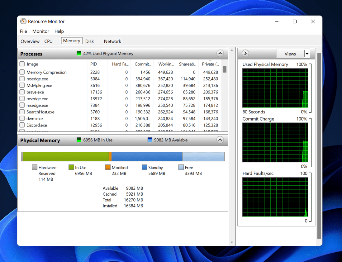 Fix Memory Leak In Windows 11