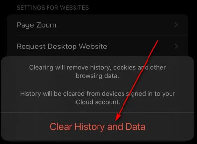 Clear Safari's History 