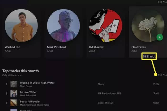 See Your Spotify Stats on PC